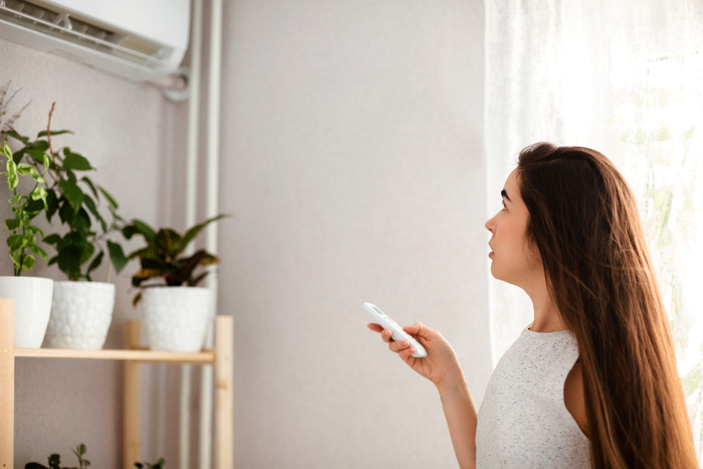How to Find the Ideal Temperature Setting for Your Home Hargrave